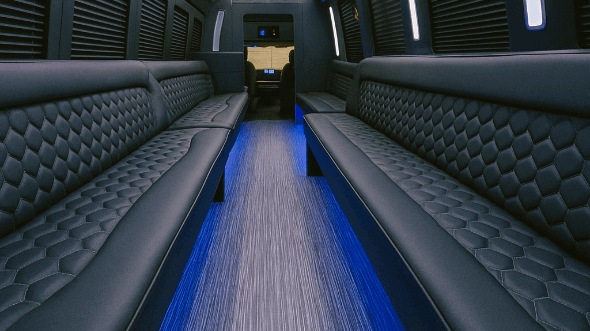 20 Passenger Party Bus Interior