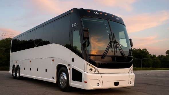 louisiana bachelor and bachelorette party bus rentals